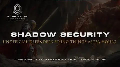 Cover art for Shadow Security: The Unofficial Defenders Fixing Things After Hours